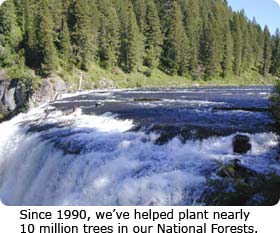 Since 1990, we've helped plant nearly 10 million trees in our national forests.